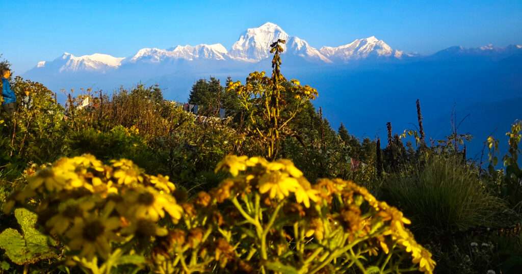 Annapurna Base Came Trek