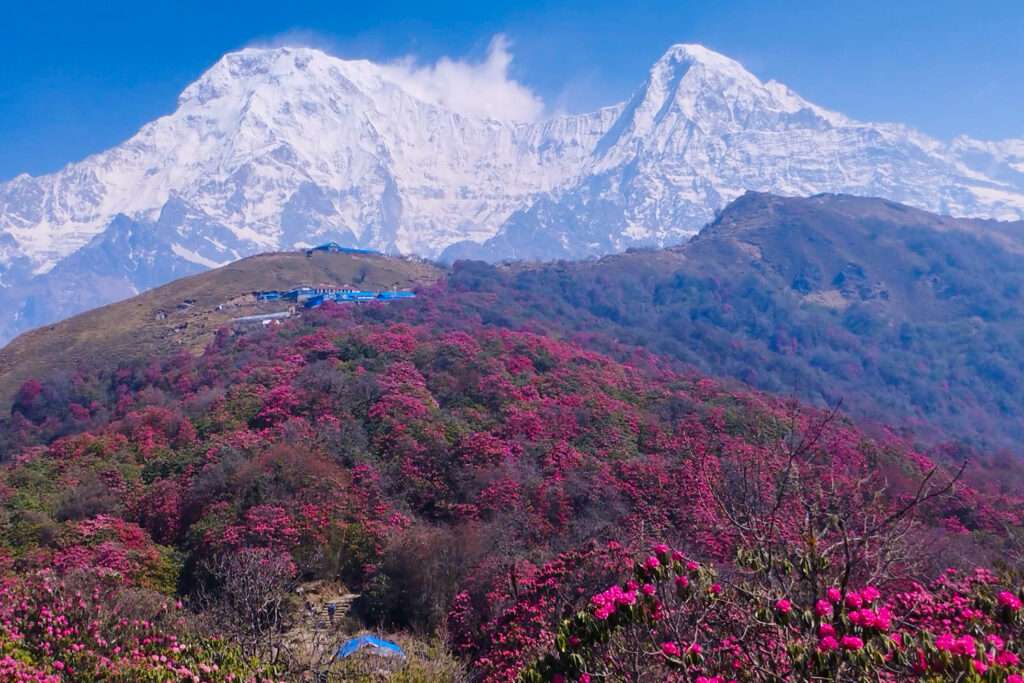 Mardi Himal Trek