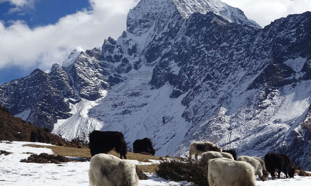 Everest Panorama Trek