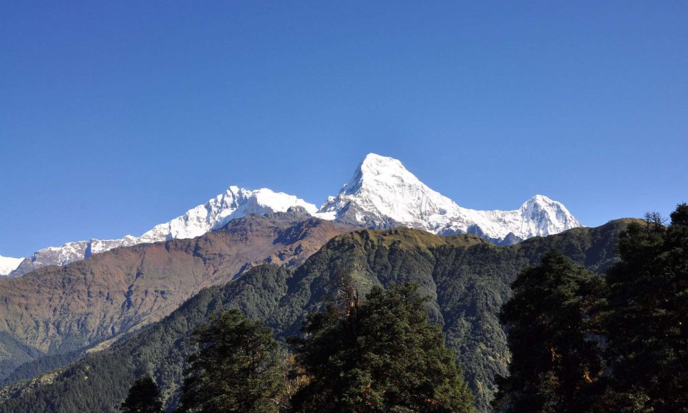 Annapurna Base Camp (4)