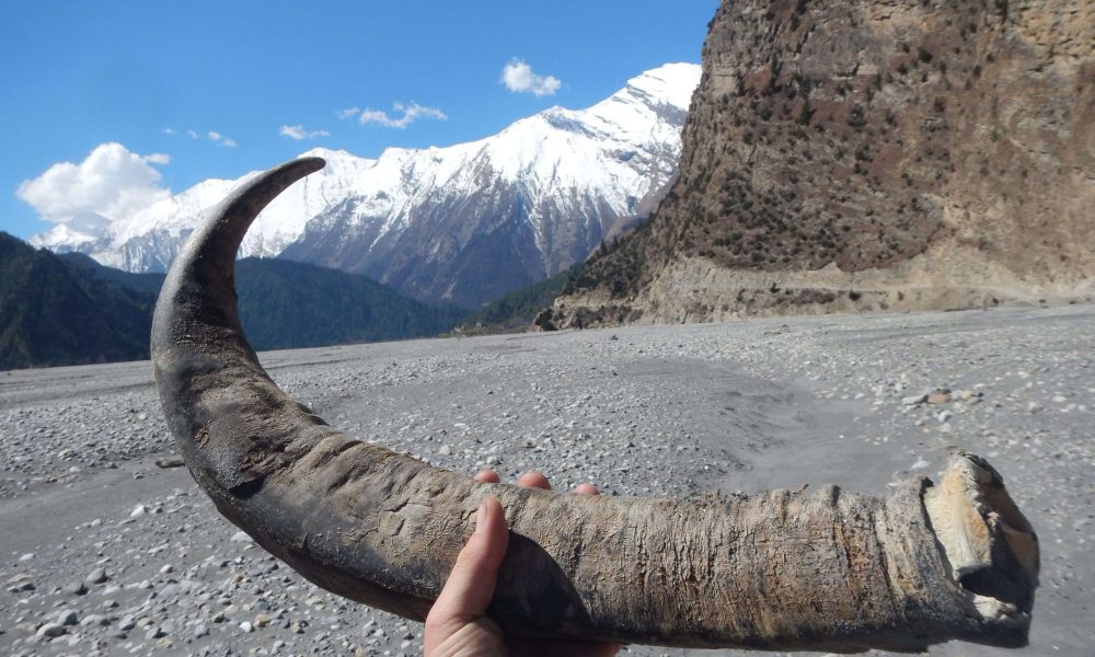 Annapurna Circuit Trek 4