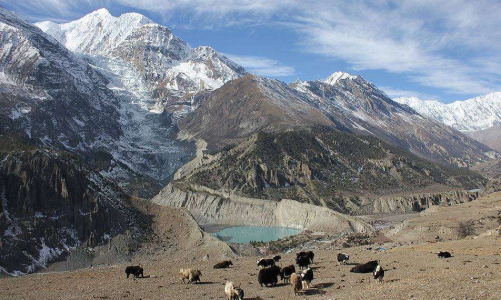 Annapurna Circuit Trek