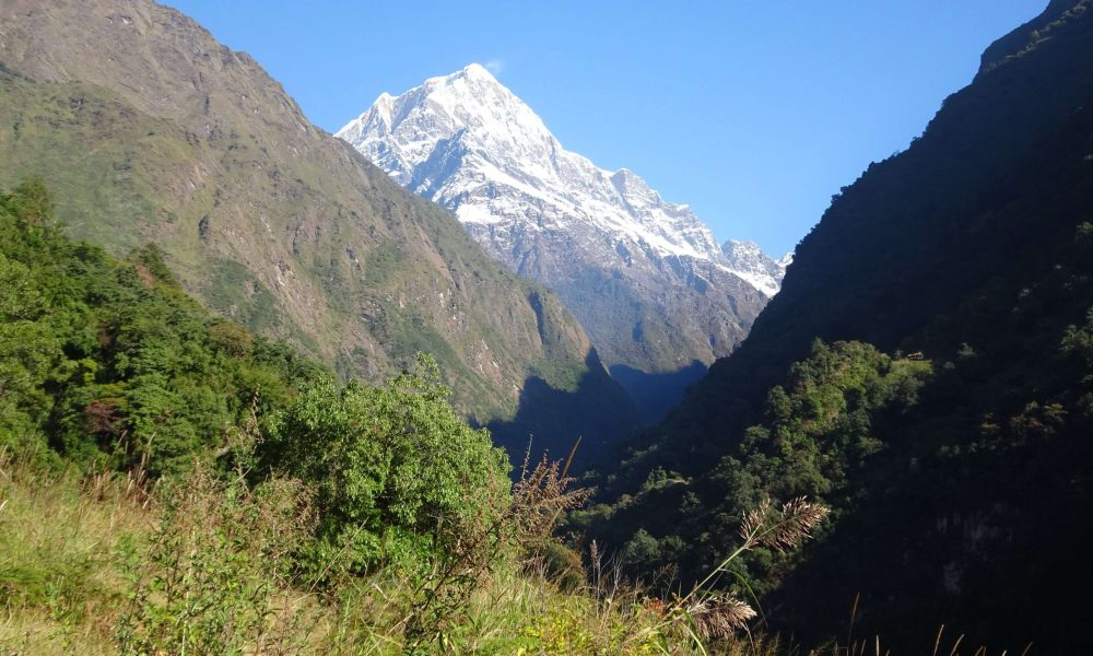 Dhaulagiri 1