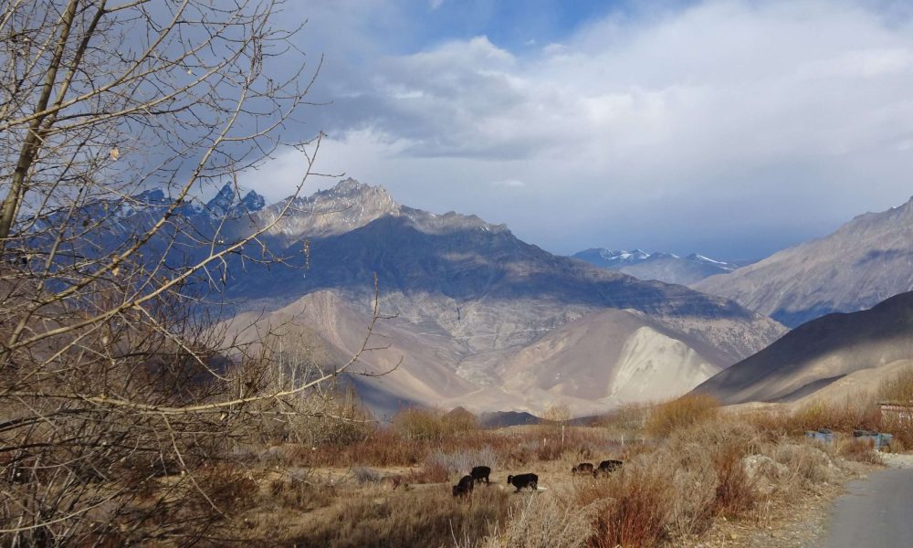 Dhaulagiri 17