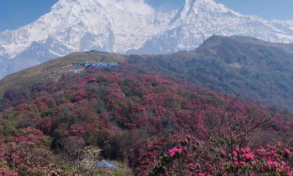 Trekking in Nepal Travel Tips and Info